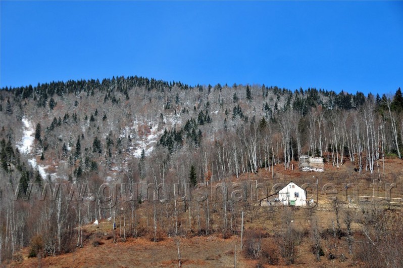 Gümüşhaneli Dağcılar Kürtün'de 16