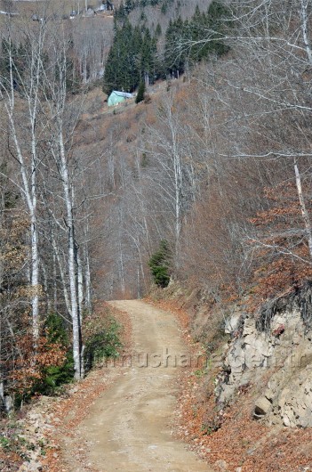 Gümüşhaneli Dağcılar Kürtün'de 19