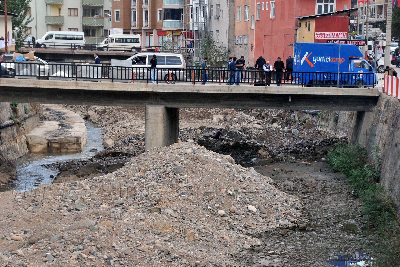 Harşit'te Katliam Devam Ediyor 8