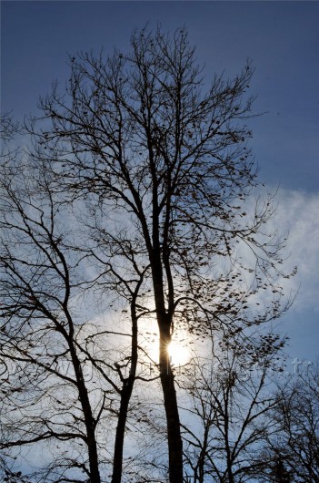 Gümüşhaneli Dağcılar Kürtün'de 42