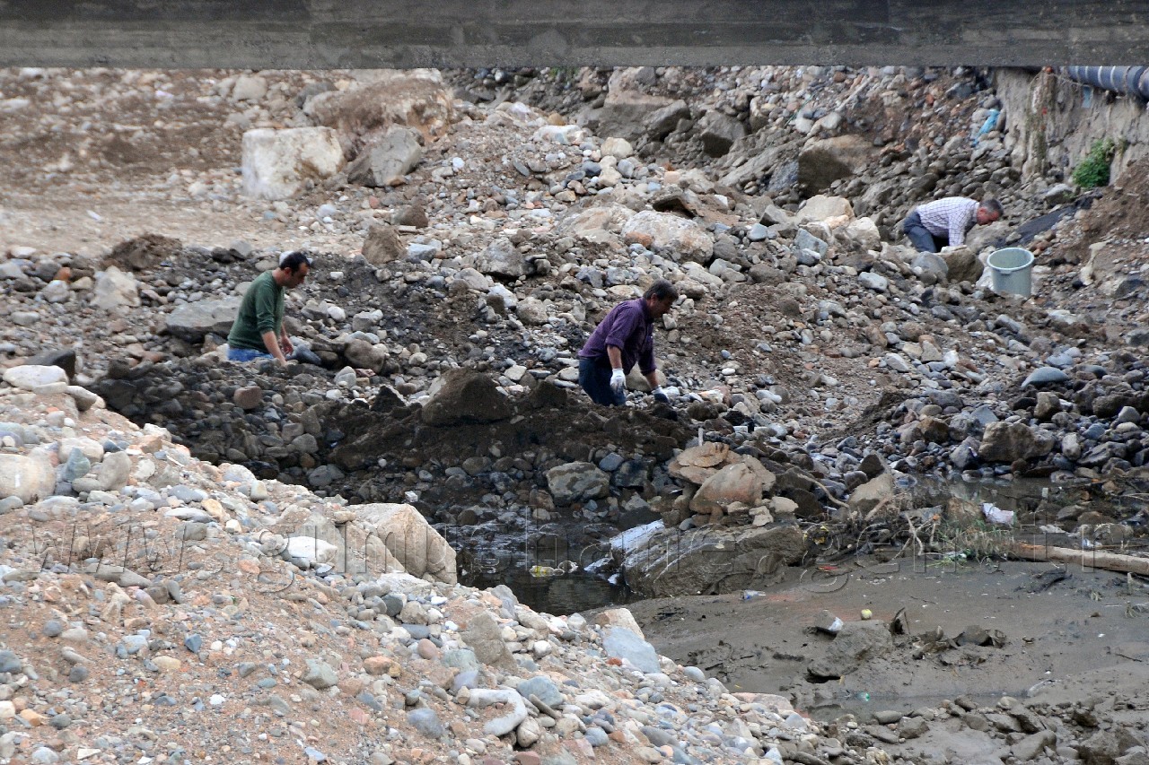 Harşit'te Katliam Devam Ediyor 9