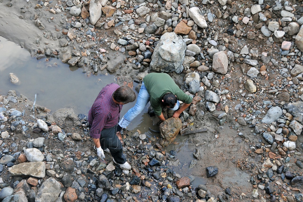 Harşit'te Katliam Devam Ediyor 12