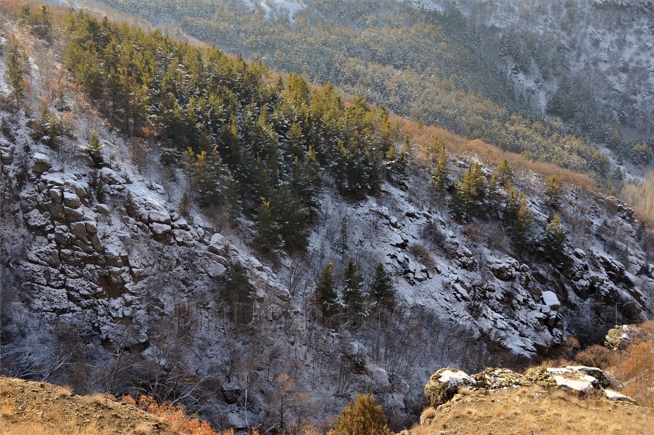 Gümüşhaneli Dağcılar Kelkit'te Yürüyüş Düzenledi 11