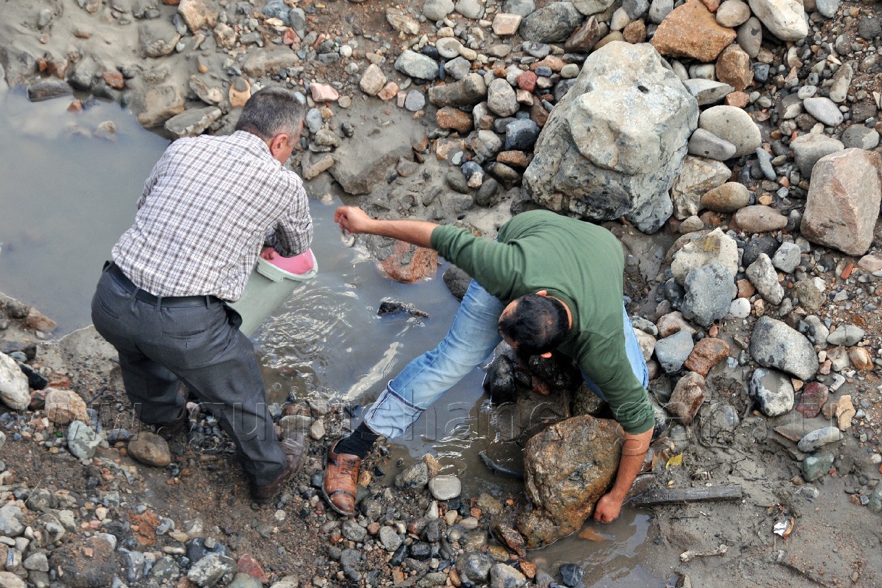 Harşit'te Katliam Devam Ediyor 13