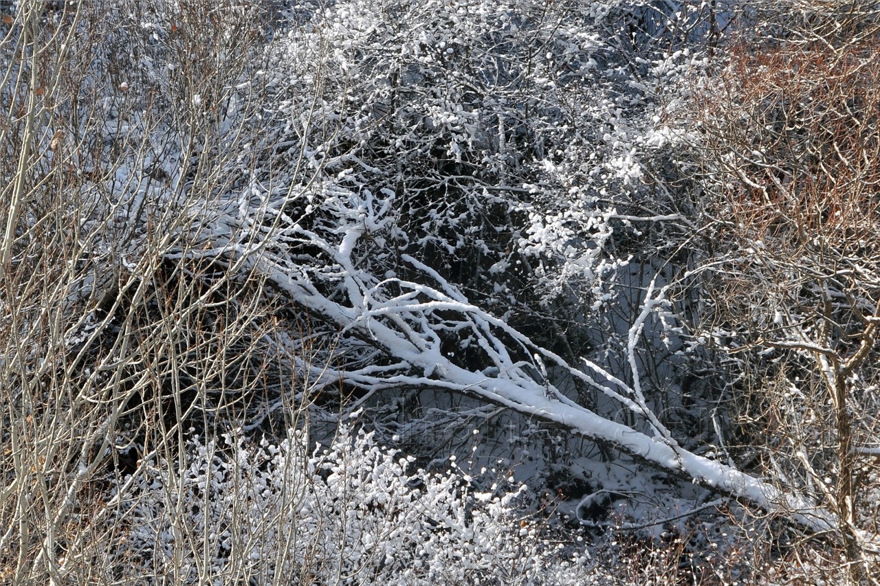 Gümüşhaneli Dağcılar Kelkit'te Yürüyüş Düzenledi 13