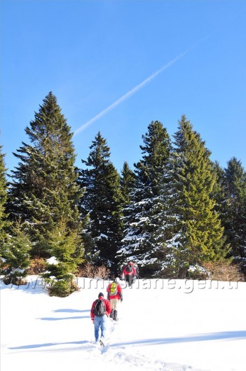 Gümüşhaneli Dağcılar Kürtün'de 49