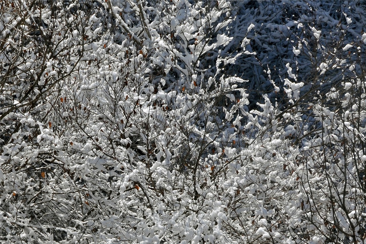 Gümüşhaneli Dağcılar Kelkit'te Yürüyüş Düzenledi 15