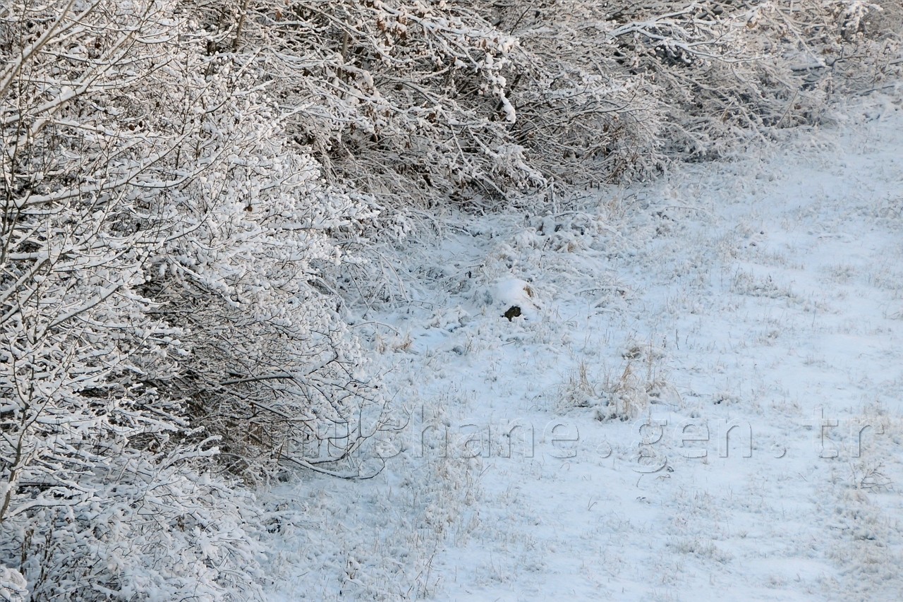 Gümüşhaneli Dağcılar Kelkit'te Yürüyüş Düzenledi 17