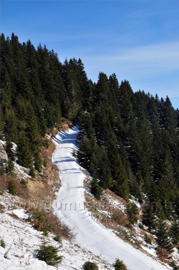 Gümüşhaneli Dağcılar Kürtün'de 54