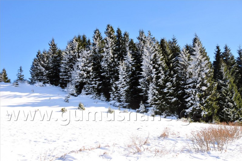 Gümüşhaneli Dağcılar Kürtün'de 68