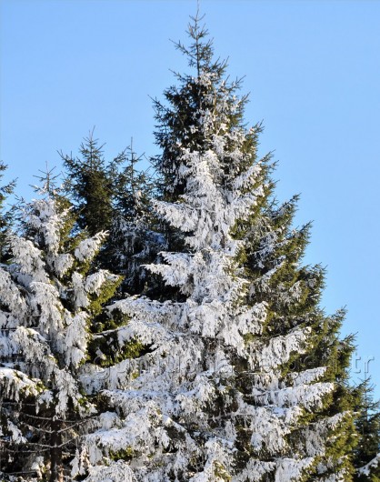 Gümüşhaneli Dağcılar Kürtün'de 69