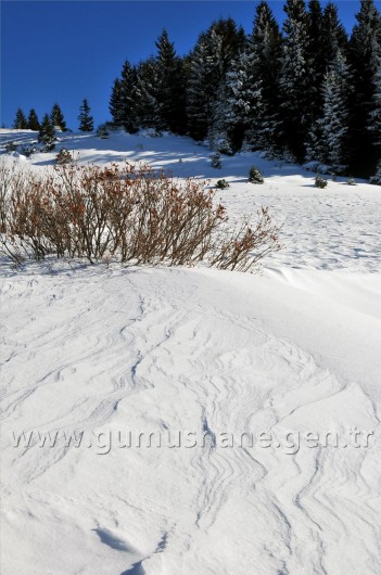 Gümüşhaneli Dağcılar Kürtün'de 71