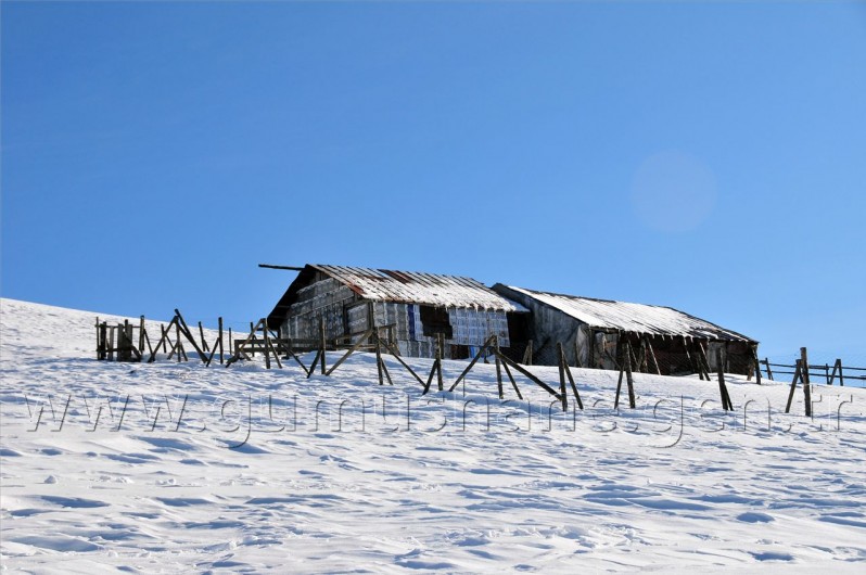 Gümüşhaneli Dağcılar Kürtün'de 79