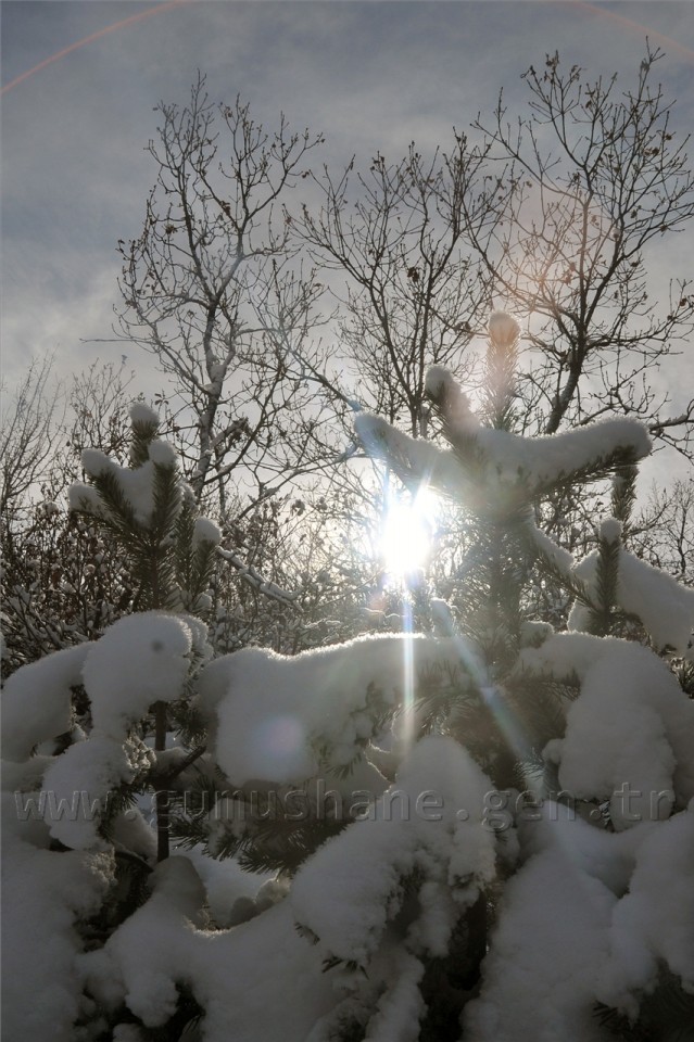 Gümüşhaneli Dağcılar Kelkit'te Yürüyüş Düzenledi 41