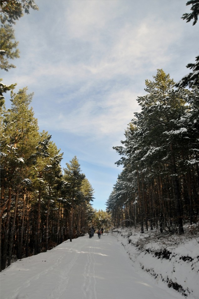 Gümüşhaneli Dağcılar Kelkit'te Yürüyüş Düzenledi 42