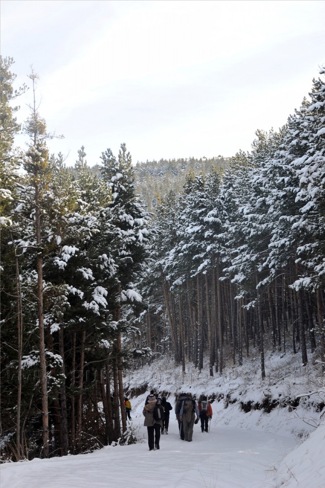 Gümüşhaneli Dağcılar Kelkit'te Yürüyüş Düzenledi 43