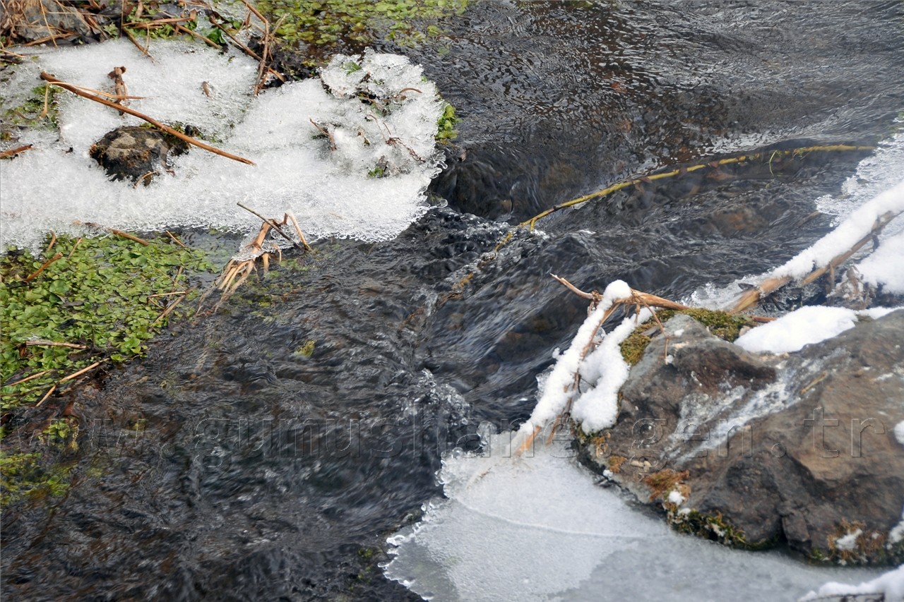 Gümüşhaneli Dağcılar Kelkit'te Yürüyüş Düzenledi 58