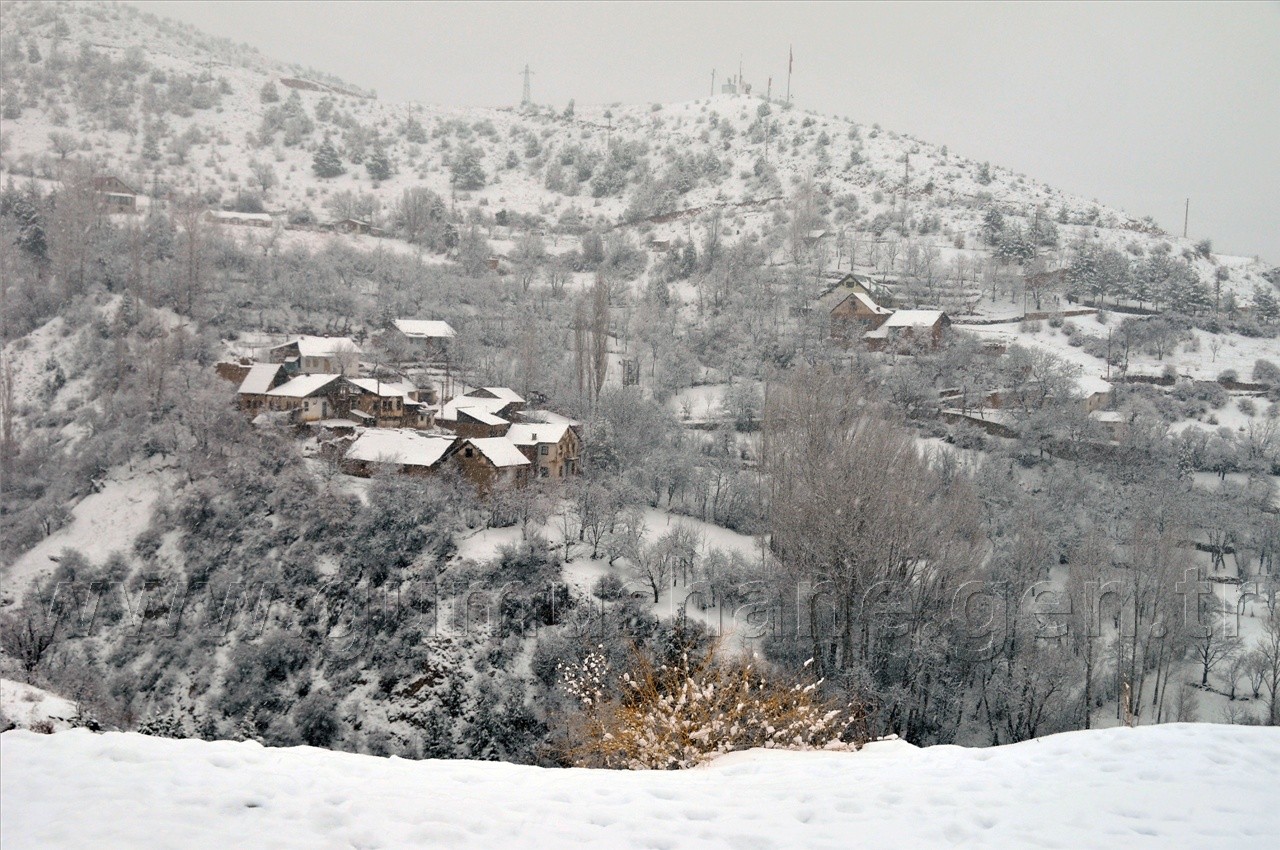 Yarın Araçlarınıza Binmeyin 15