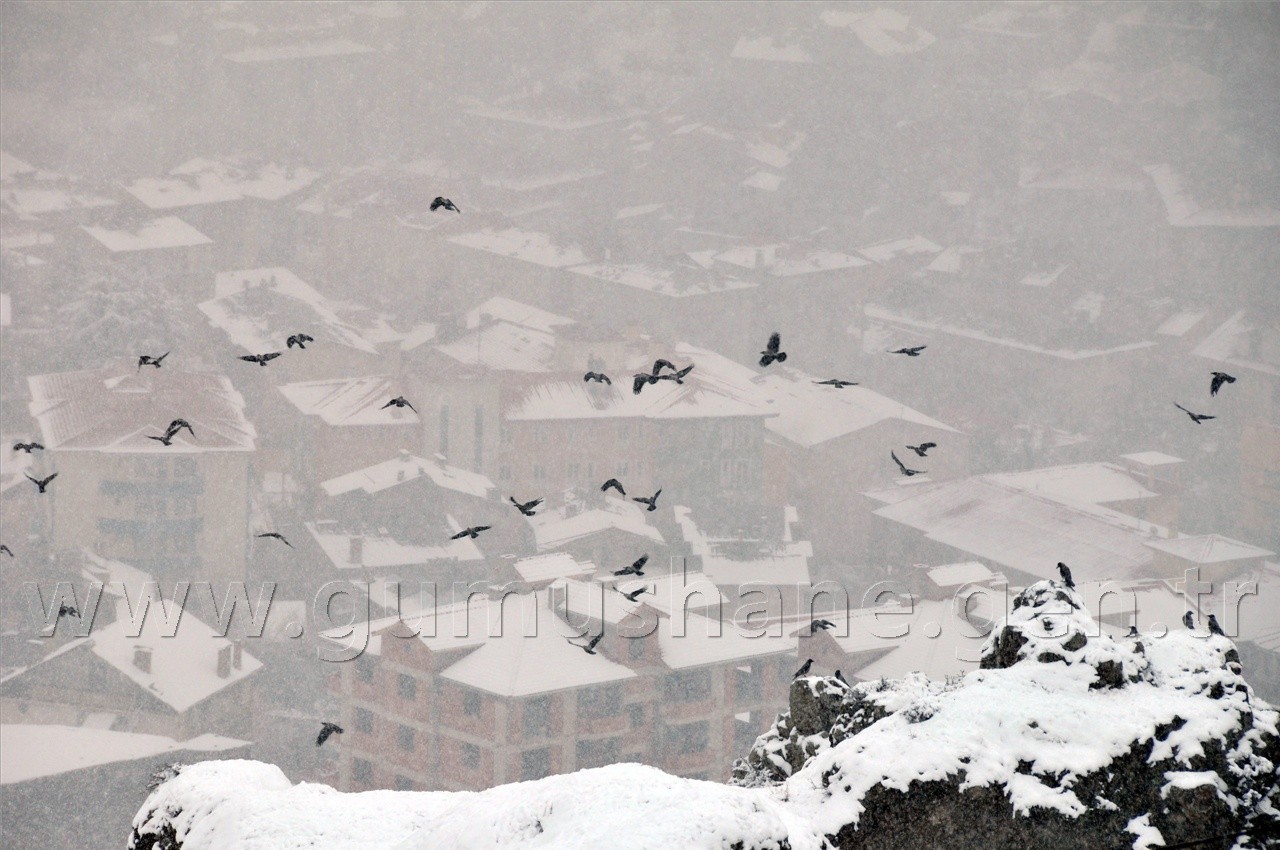 Yarın Araçlarınıza Binmeyin 17