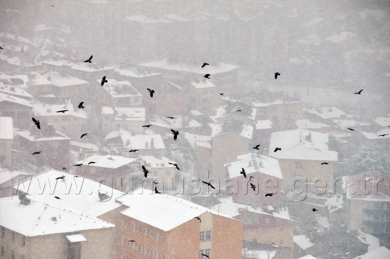 Yarın Araçlarınıza Binmeyin 18