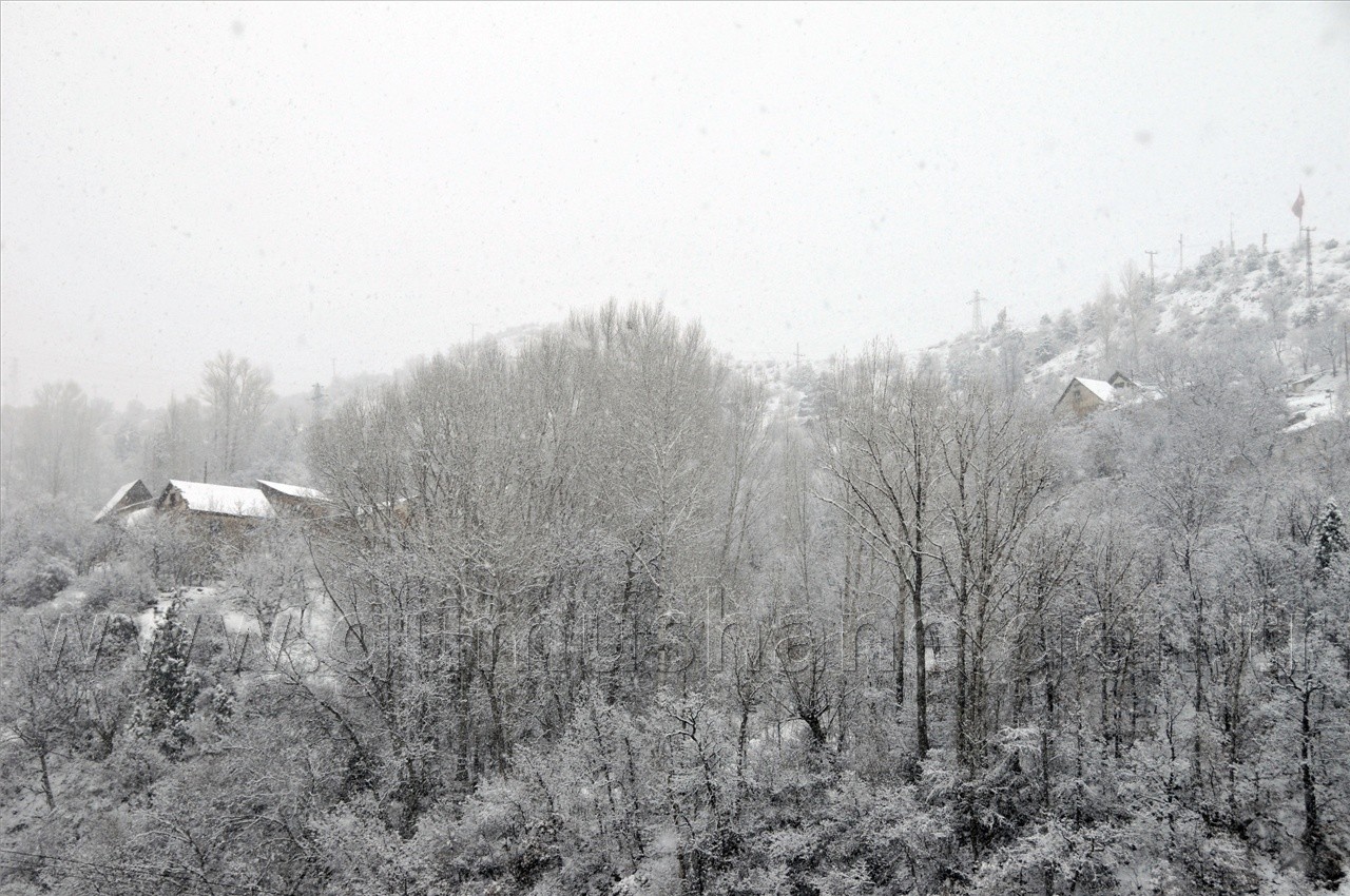 Yarın Araçlarınıza Binmeyin 19
