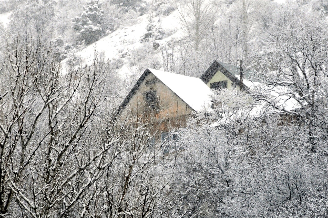 Yarın Araçlarınıza Binmeyin 20