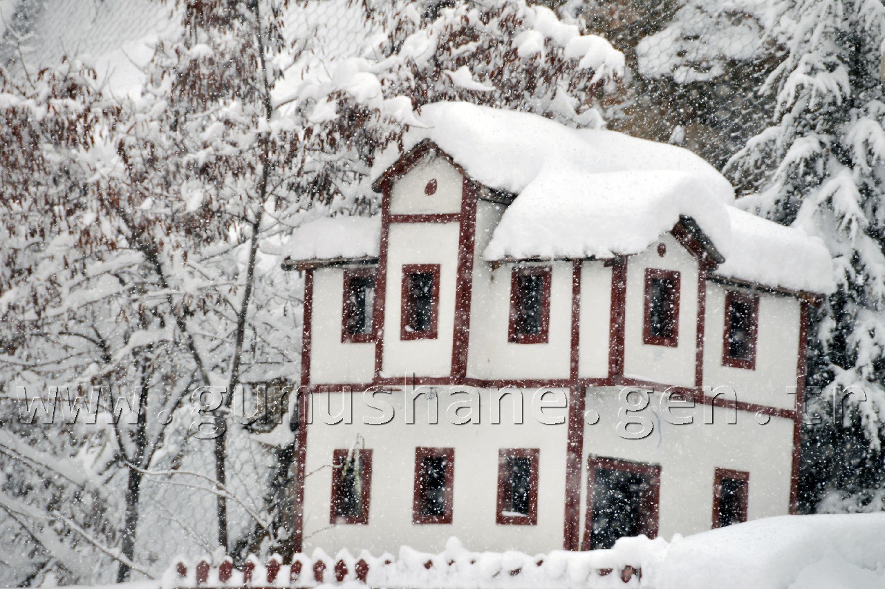 Gümüşhane'de Kar Tatili Uzatıldı 25