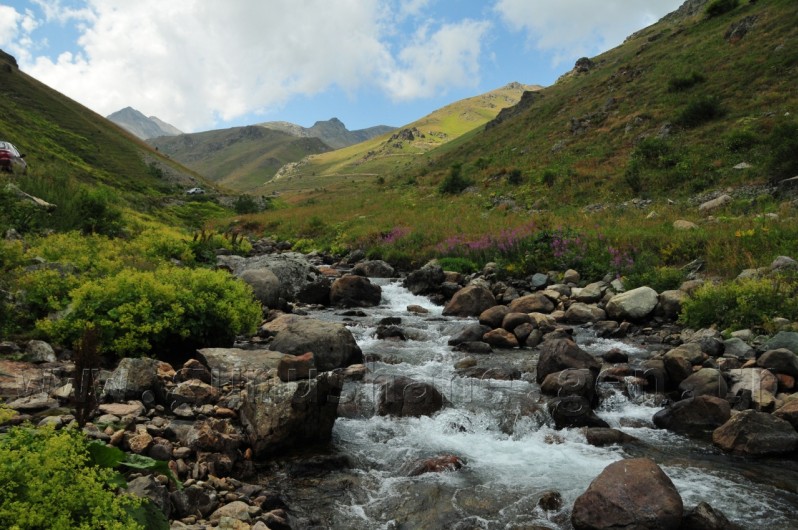 Çit Deresine 5 Bin Kırmızı Benekli Alabalık 5