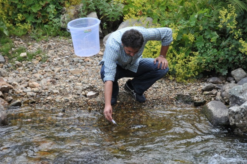 Çit Deresine 5 Bin Kırmızı Benekli Alabalık 6