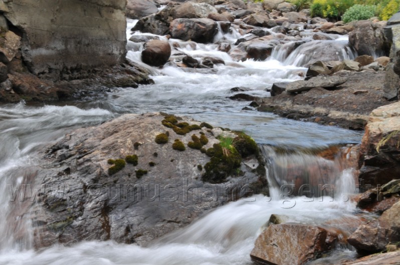Çit Deresine 5 Bin Kırmızı Benekli Alabalık 9