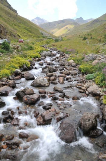 Çit Deresine 5 Bin Kırmızı Benekli Alabalık 10