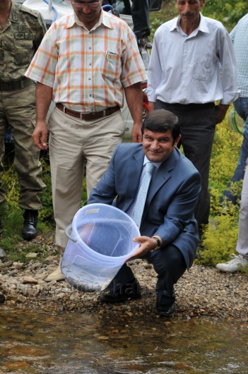 Çit Deresine 5 Bin Kırmızı Benekli Alabalık 16