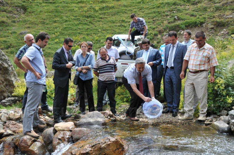 Çit Deresine 5 Bin Kırmızı Benekli Alabalık 18