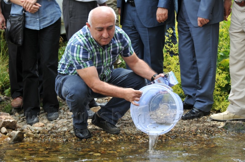 Çit Deresine 5 Bin Kırmızı Benekli Alabalık 20