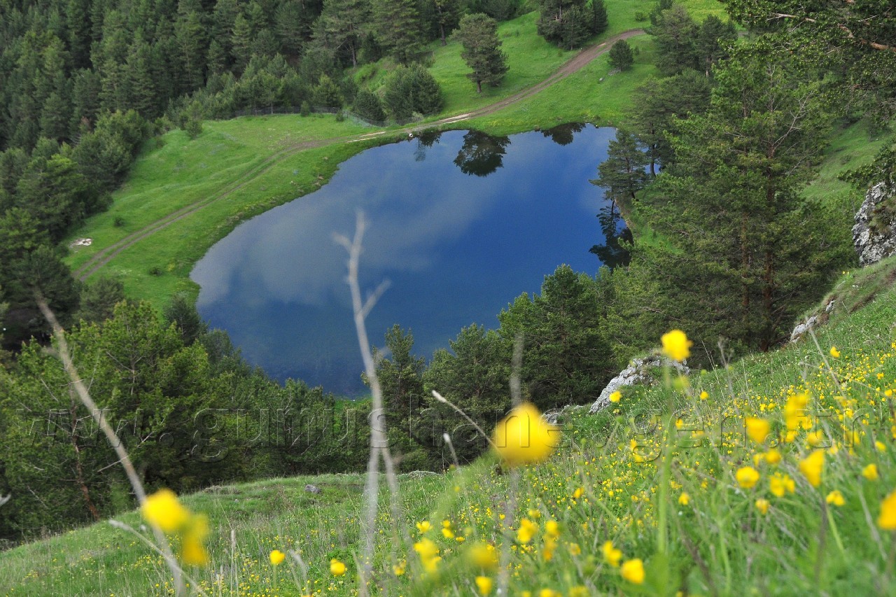 Gümüşhaneli Dağcılar Altınpınar Gölünde Kamp Kurdu 9