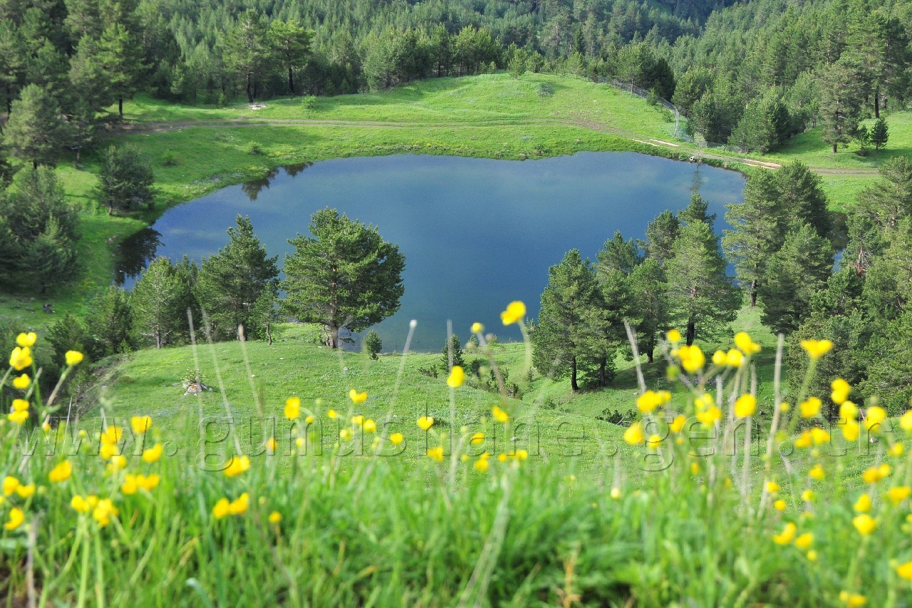 Gümüşhaneli Dağcılar Altınpınar Gölünde Kamp Kurdu 16