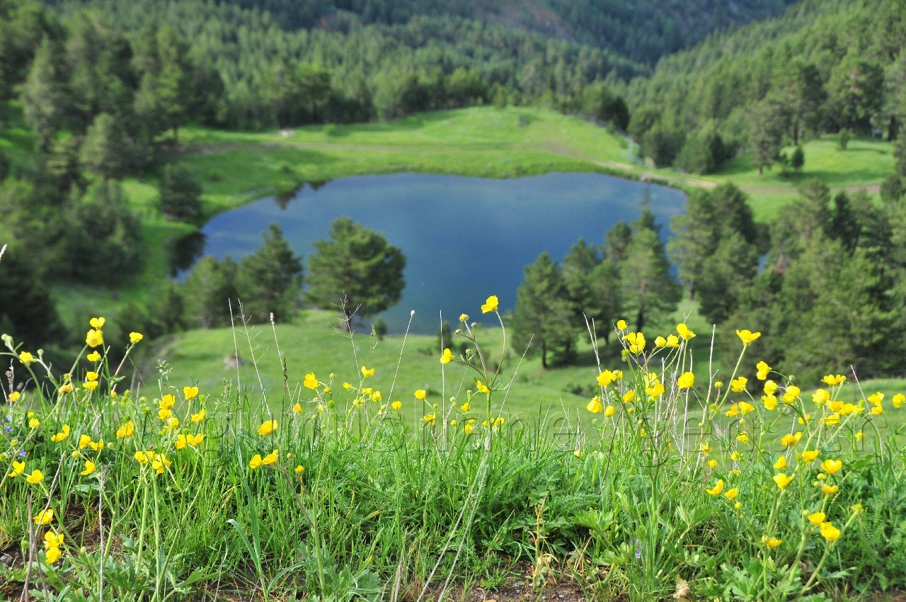 Gümüşhaneli Dağcılar Altınpınar Gölünde Kamp Kurdu 11