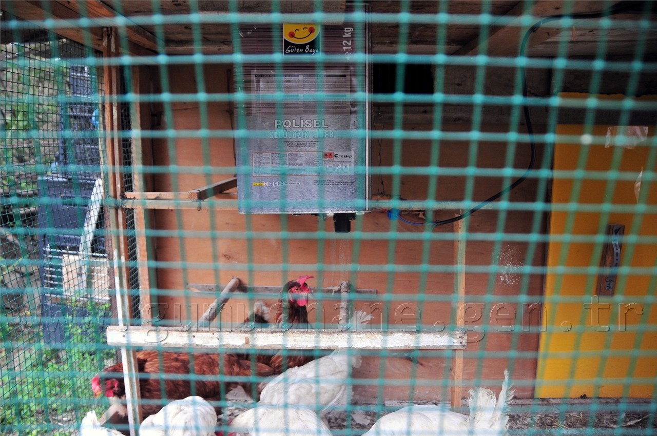 Akıllı Ev Olmayan Şehirde Akıllı Kümes Yaptı 5