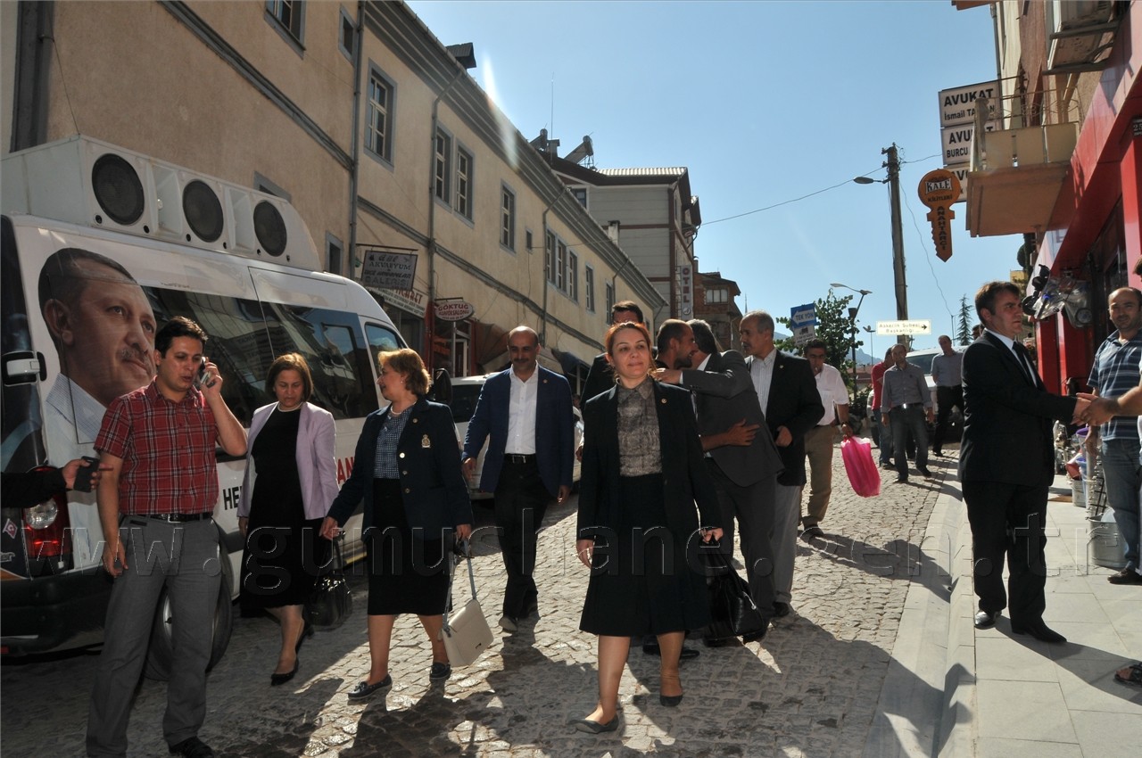 AK Parti Milletvekillerinden Çözüm Süreci Gezisi 19