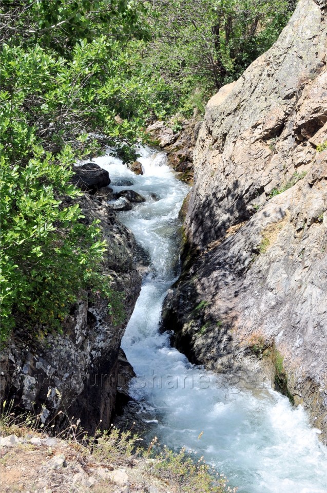 Bölge UMKE Tatbikatı Gümüşhane'de Yapıldı 16