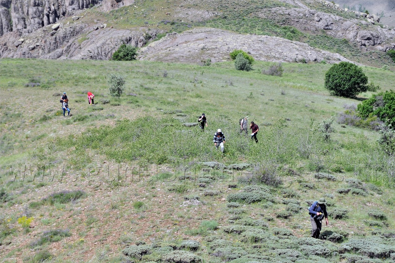 Gümüşhaneli Dağcılar Süle Köyünde Keşfe Çıktı 14