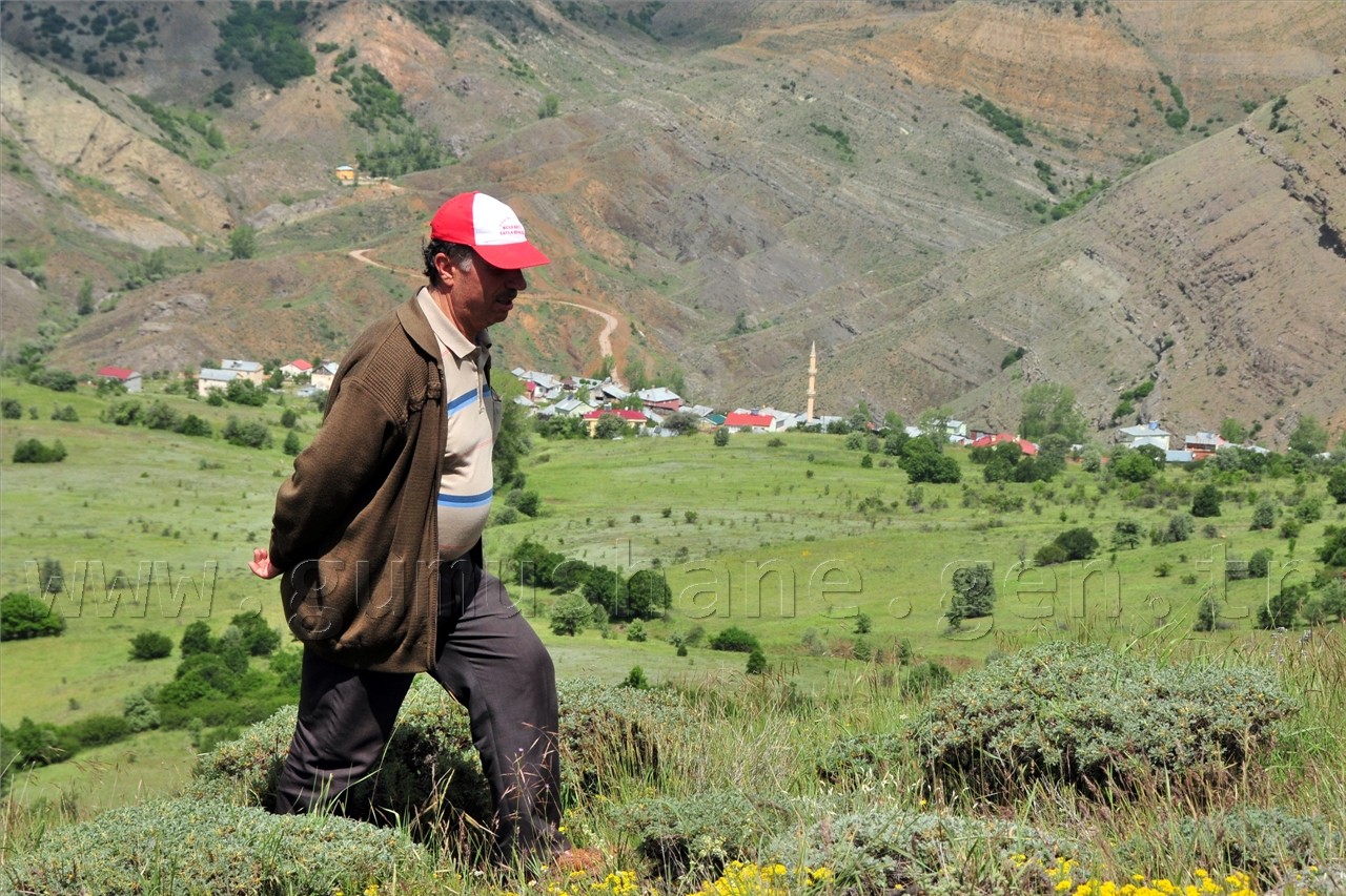 Gümüşhaneli Dağcılar Süle Köyünde Keşfe Çıktı 23