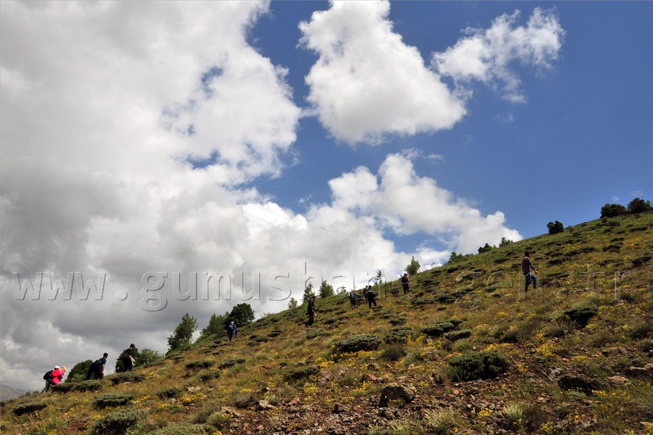Gümüşhaneli Dağcılar Süle Köyünde Keşfe Çıktı 24