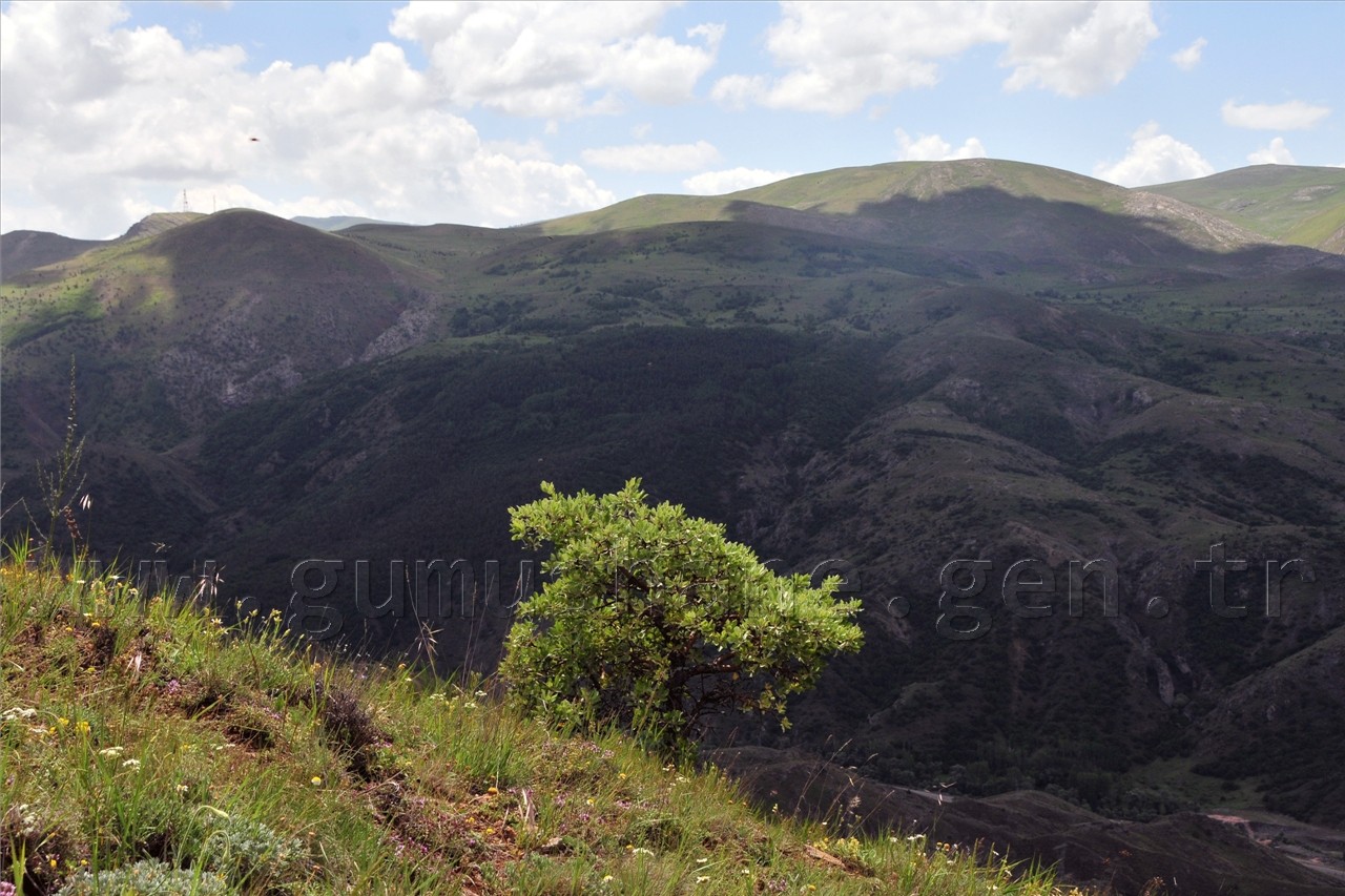 Gümüşhaneli Dağcılar Süle Köyünde Keşfe Çıktı 27