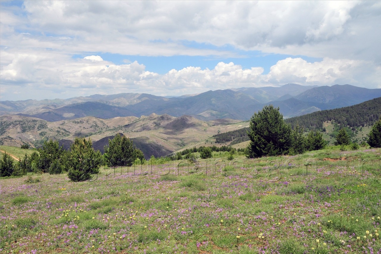 Gümüşhaneli Dağcılar Süle Köyünde Keşfe Çıktı 34