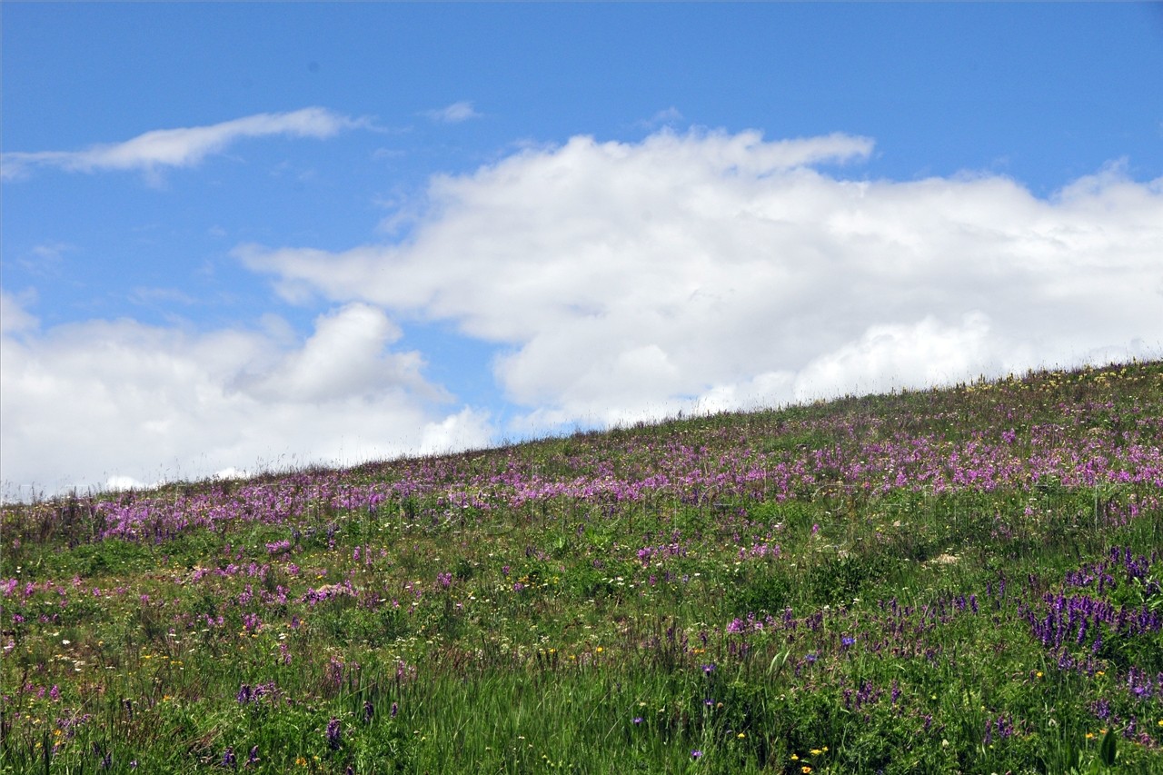 Gümüşhaneli Dağcılar Süle Köyünde Keşfe Çıktı 59