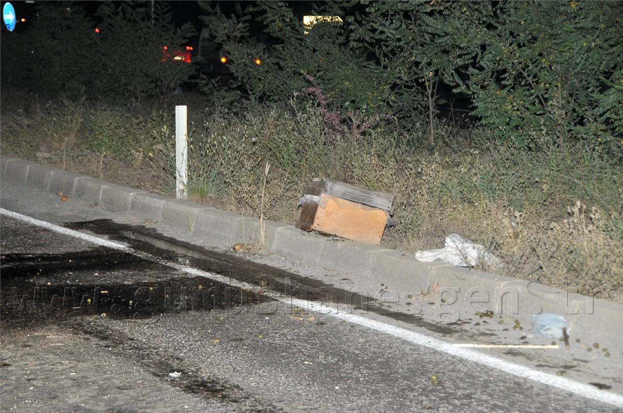 Gümüşhane'de Feci Kaza: 1 Ölü, 3 Yaralı 11