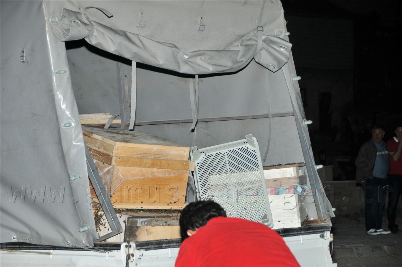 Gümüşhane'de Feci Kaza: 1 Ölü, 3 Yaralı 14