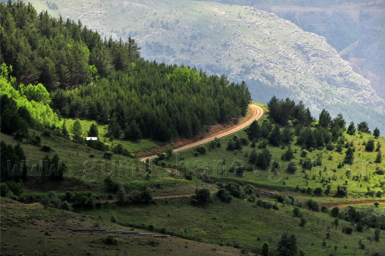 Gümüşhaneli Dağcılar Süle Köyünde Keşfe Çıktı 69
