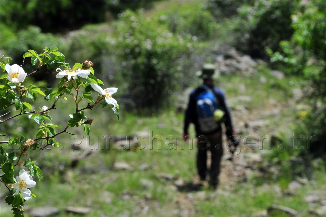 Gümüşhaneli Dağcılar Süle Köyünde Keşfe Çıktı 71